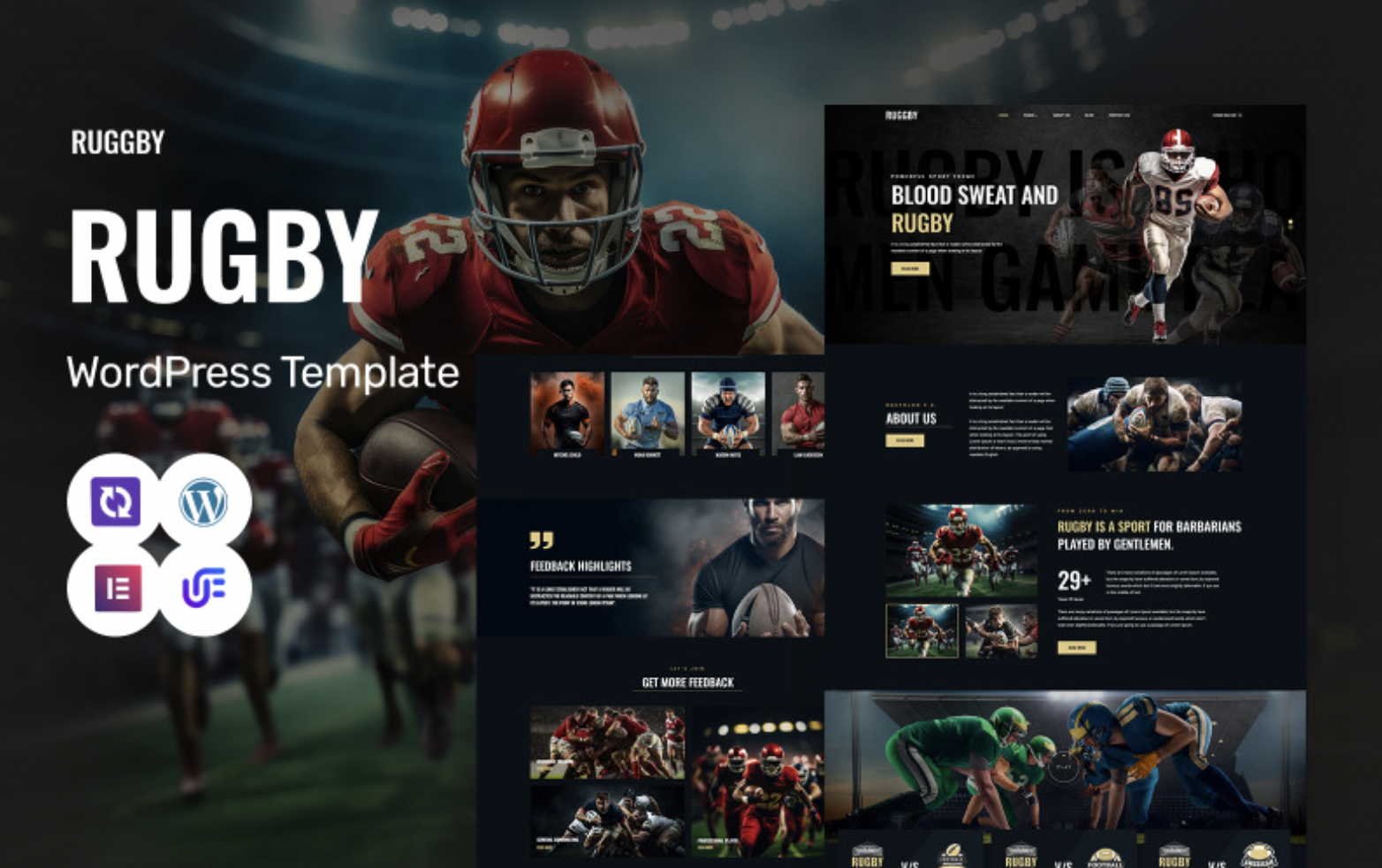 Ruggby - Rugby Club And Martial Arts WordPress Elementor Theme WordPress Theme
