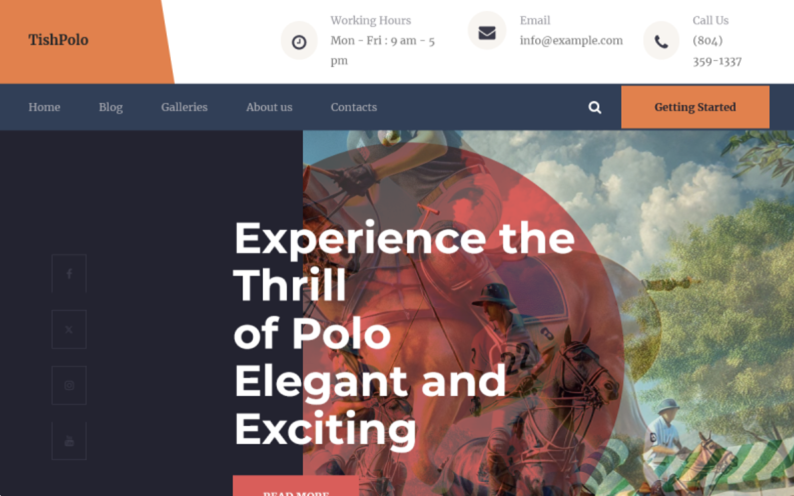 TishPolo - Polo WordPress Theme