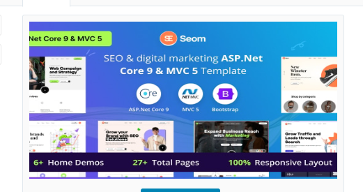 Seom SEO digital marketing ASP.Net & MVC Template