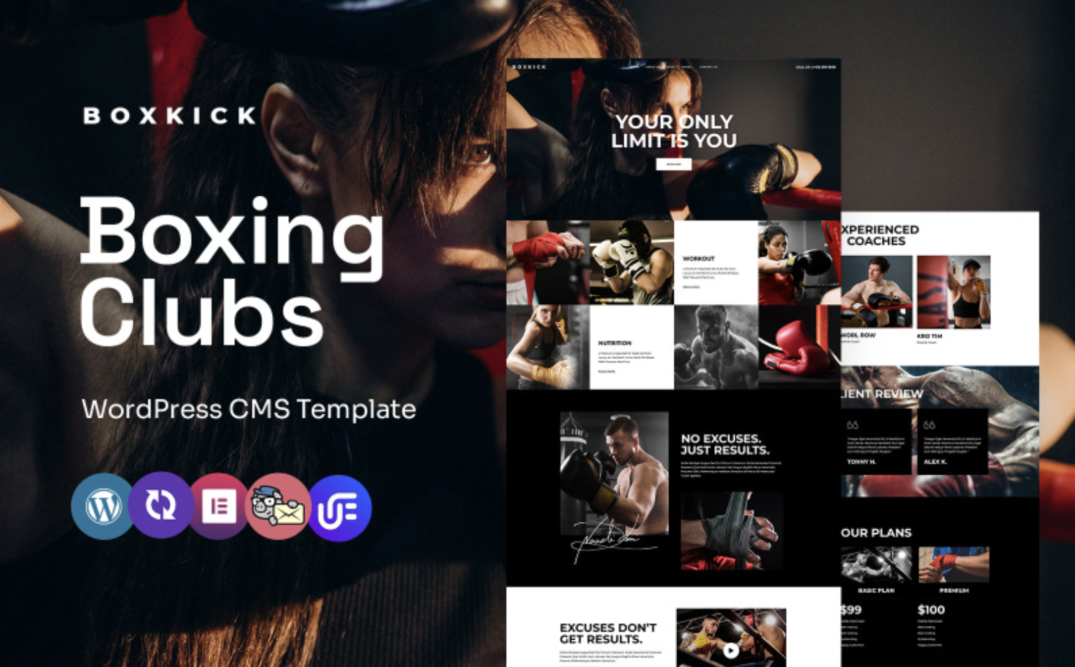 Boxkick - Boxing club And Training School WordPress Elementor Theme WordPress Theme