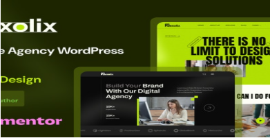 Dexolix – Digital Agency WordPress Theme