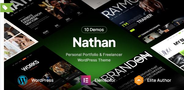 Nathan - Personal Portfolio WordPress Theme
