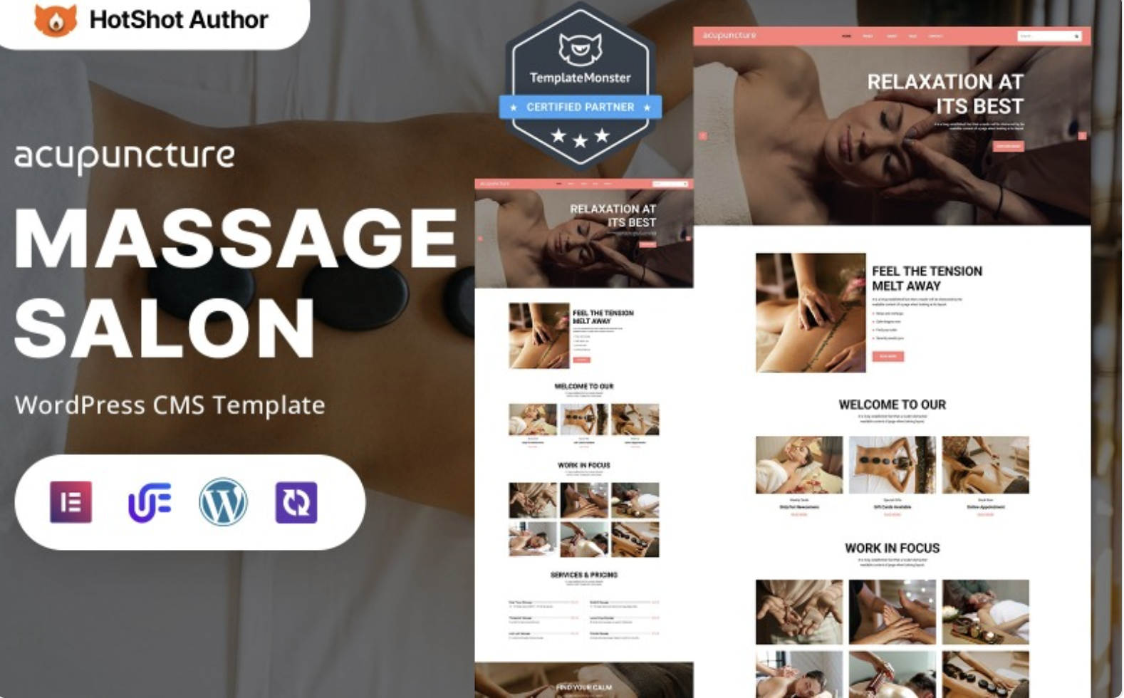 Acupuncture - Luxury Spa And Wellness WordPress Responsive Theme WordPress Theme