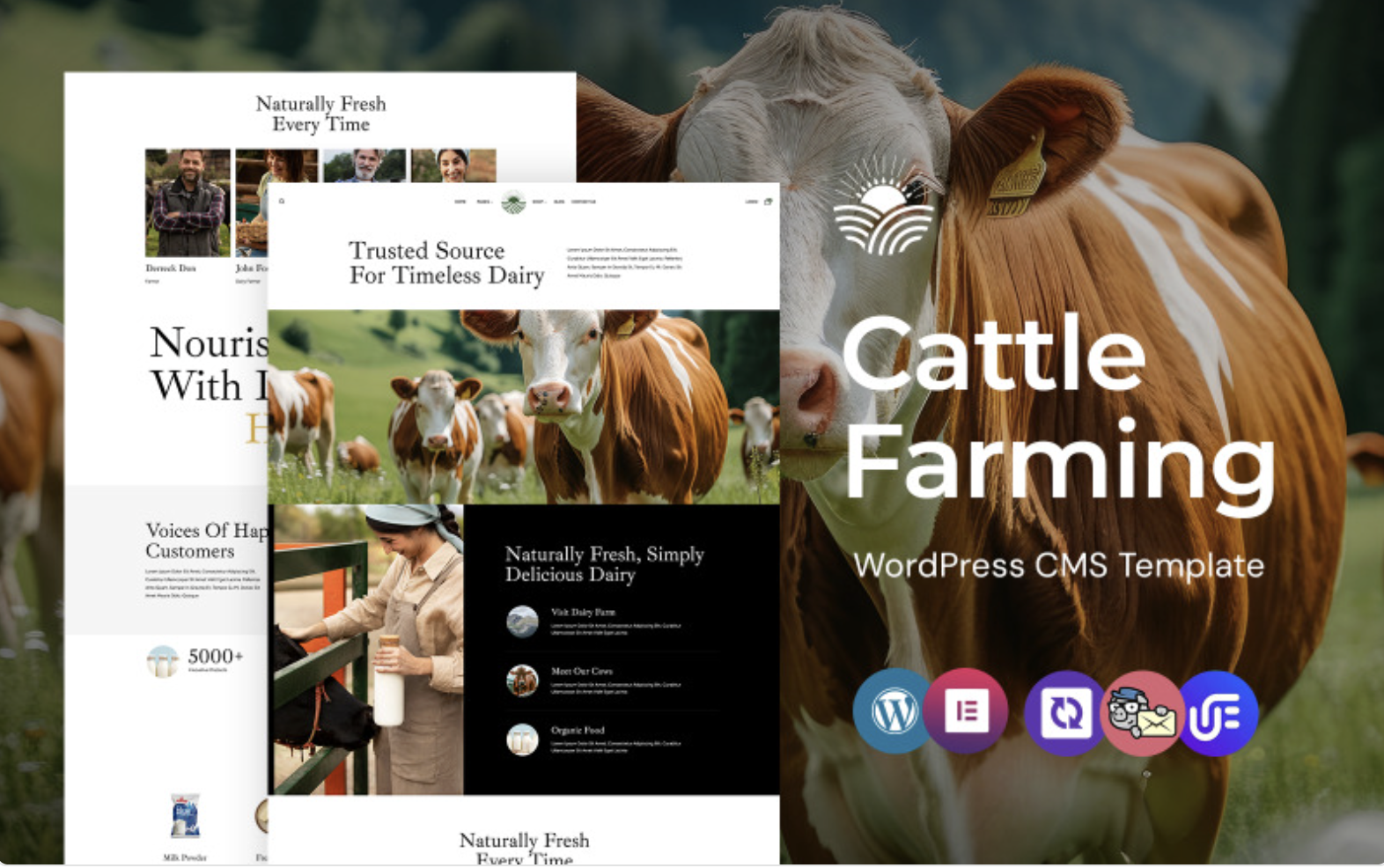 Cowdairy - Cow Farming & Dairy Production WordPress Elementor Theme WordPress Theme