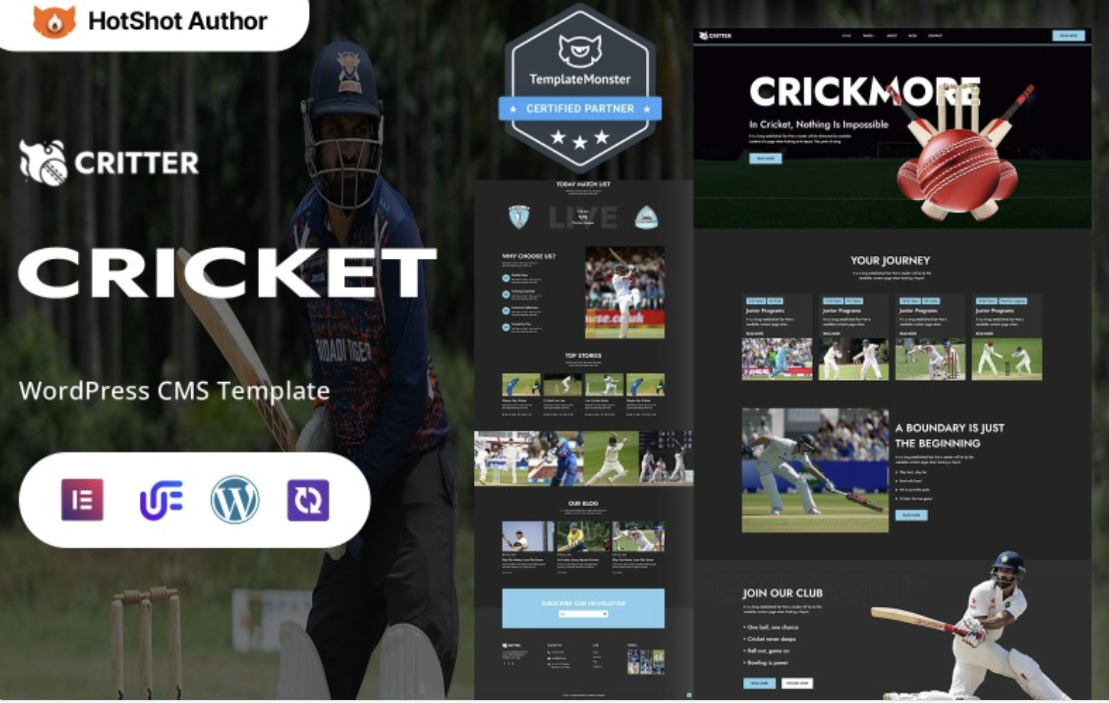Critter - Cricket Academy And Tournament WordPress Elementor Theme WordPress Theme