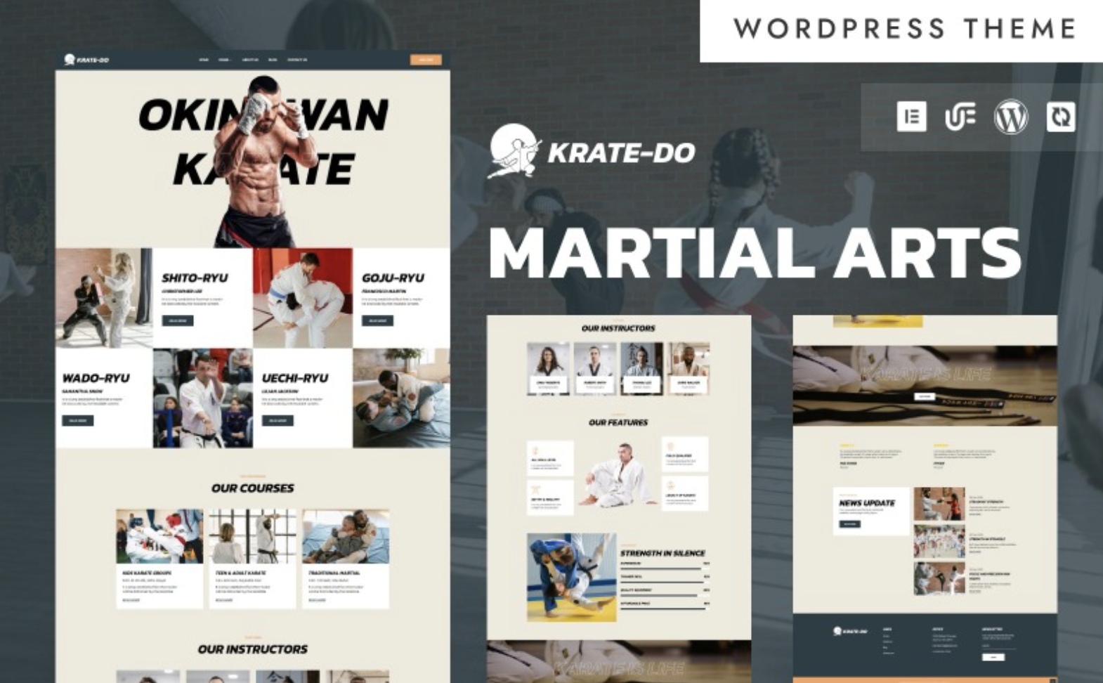 Krate-Do - Martial Arts Training & Academy WordPress Elementor Theme WordPress Theme