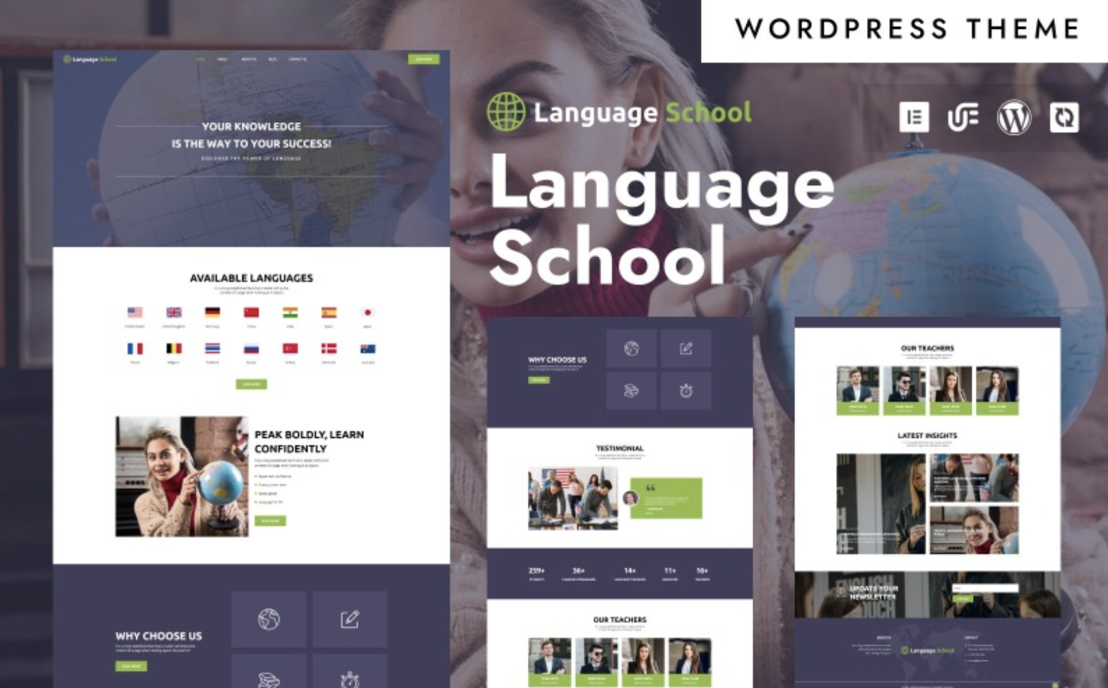 Language School - Language School & Training WordPress Elementor Theme WordPress Theme