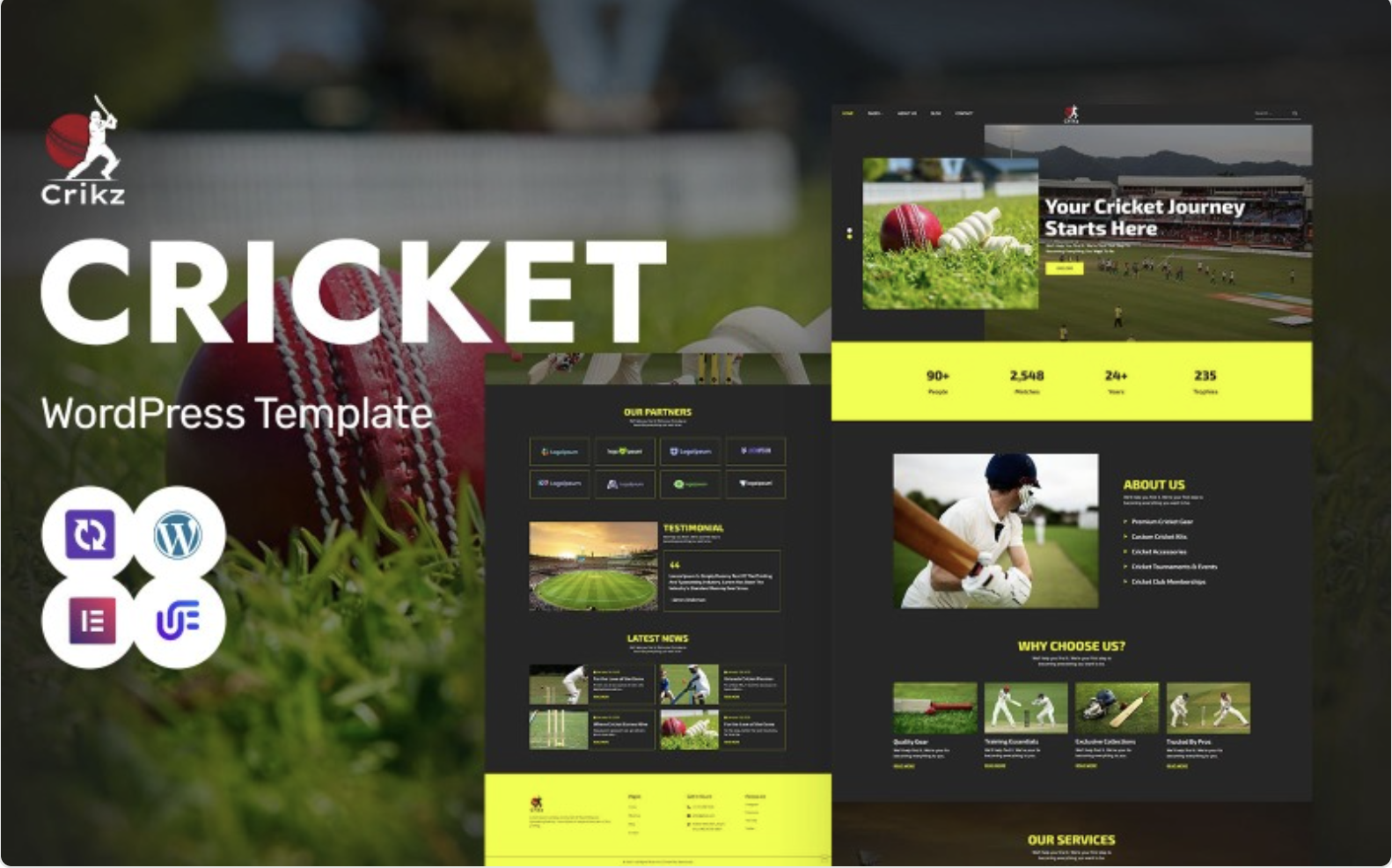 Crikz - Cricket Academy And Coaching WordPress Elementor Theme WordPress Theme