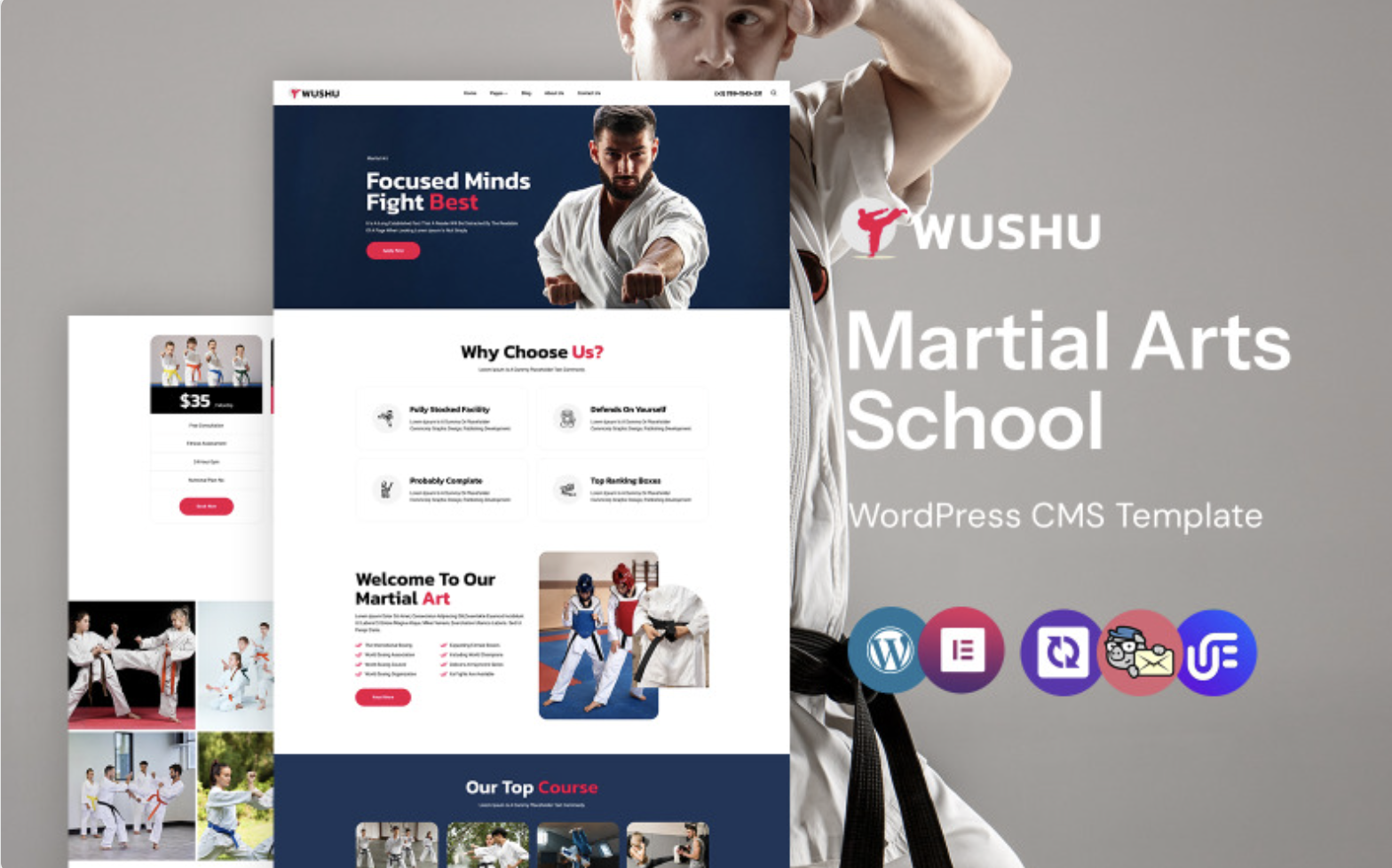 Wushu - Martial Arts School And karate WordPress Elementor Theme WordPress Theme