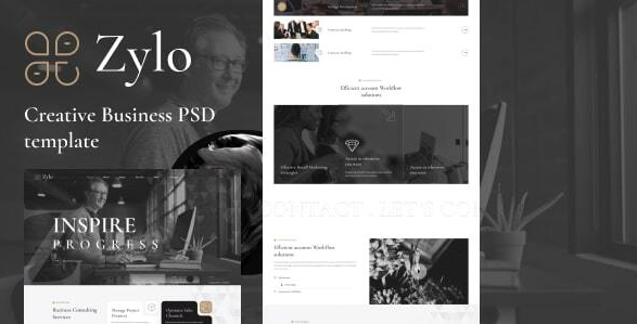 zylo- Business & consultancy PSD Template