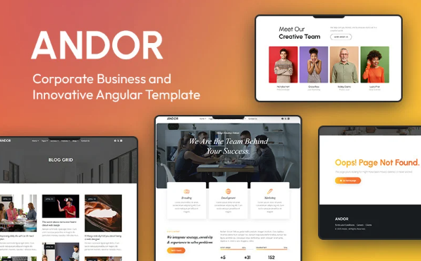 Andor :: Corporate Business and Innovative Angular Template