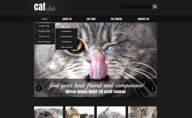 Cat Responsive Website Template 1.0