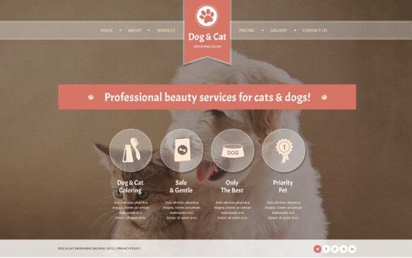 Cat Website Template