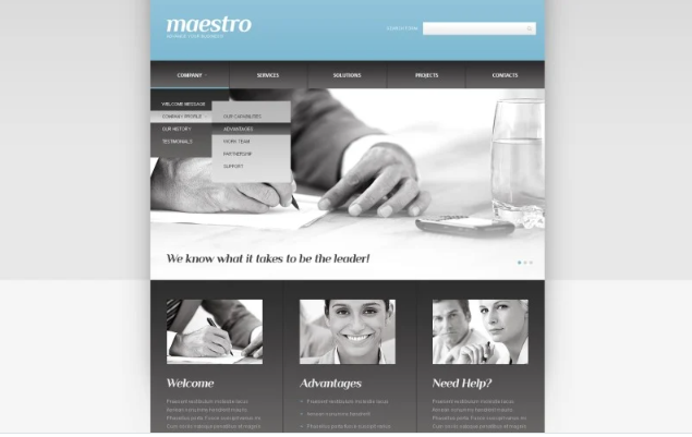 Consulting Responsive Website Template