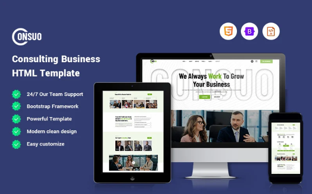 Consuo - Consulting Website Template
