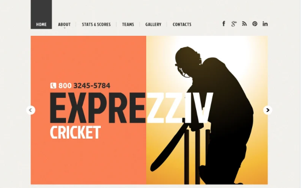 Cricket Responsive Website Template