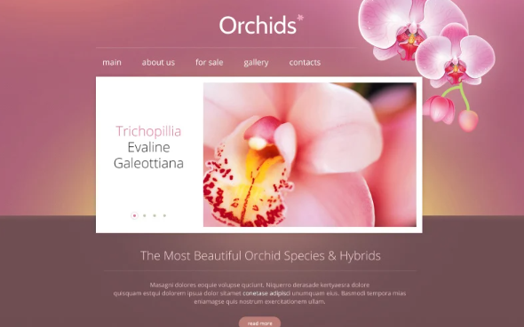 Flowers Responsive Website Template