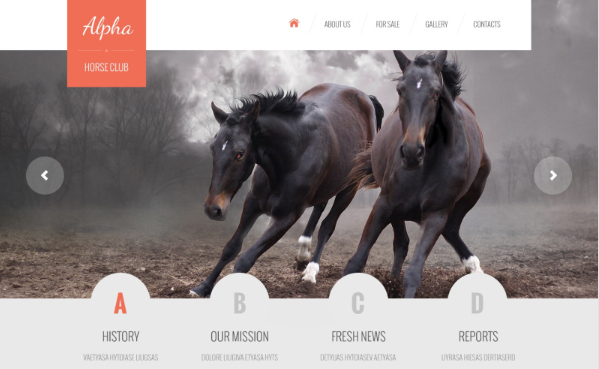 Horse Responsive Website Template