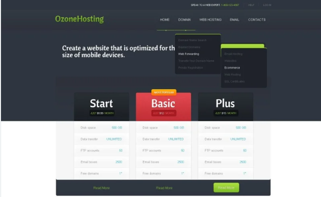Hosting Website Template
