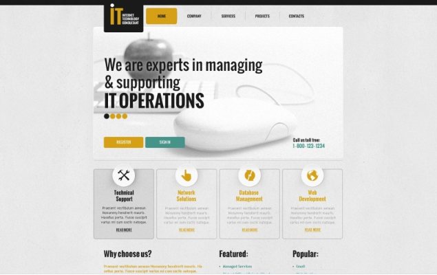 Internet Responsive Website Template