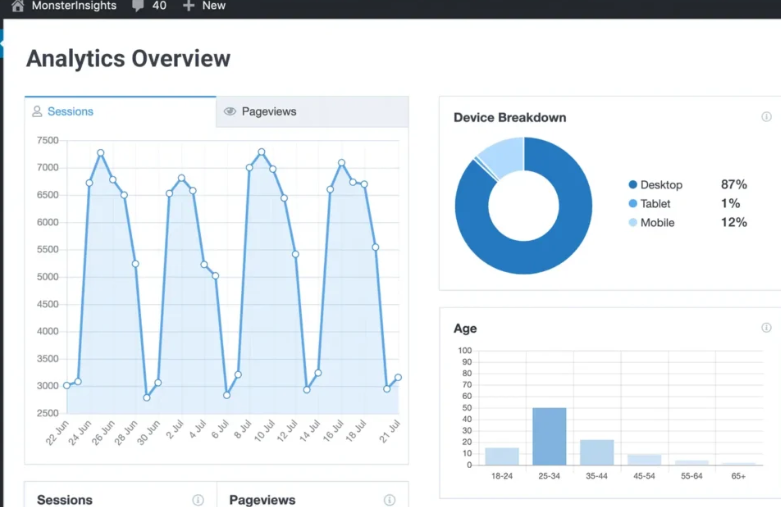 MonsterInsights – Site Notes Important Events