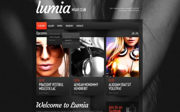 Night Club Responsive Website Template 1.0