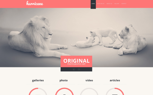 Photographer Portfolio Website Template