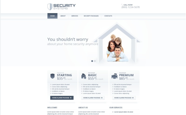 Security Responsive Website Template 1.0