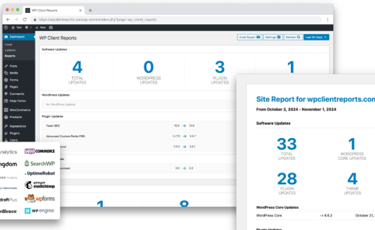 WP Client Reports Pro