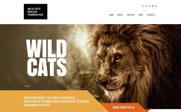 Wild Life Responsive Website Template