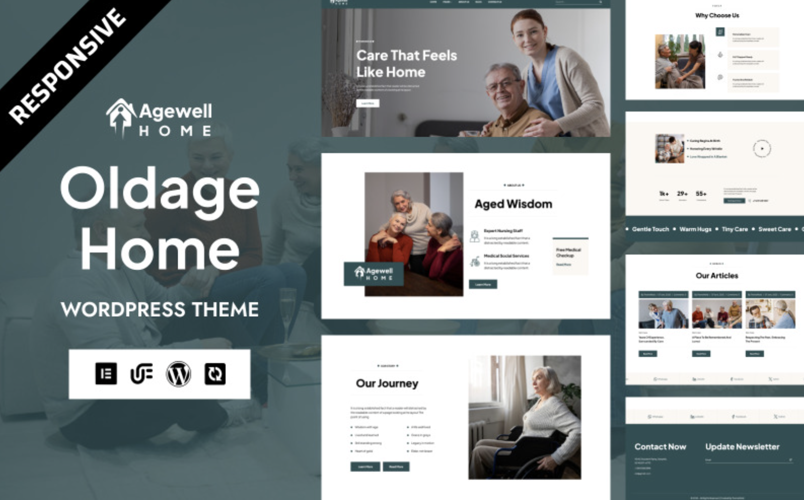 Agewell - Senior Care & Old Age Home WordPress Elementor Theme WordPress Theme