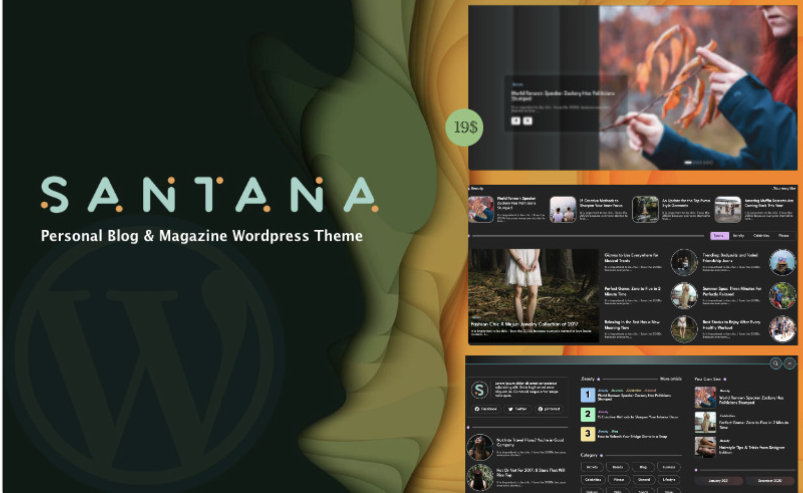 Santana Theme - Personal and magazine template WordPress Theme