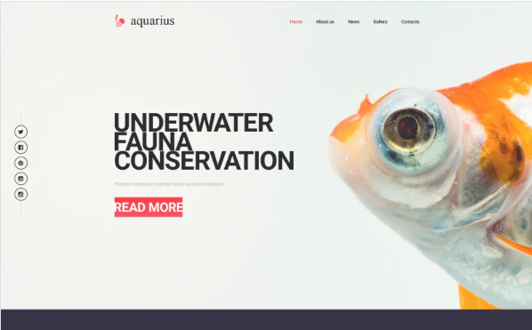 Aquarius Website Template