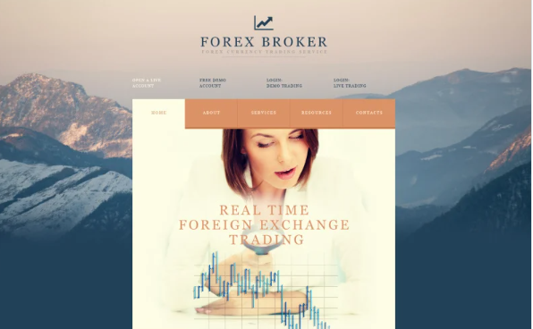 Currency Trading Services Website Template — Template by Templatemonster