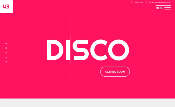 Disco Website Template