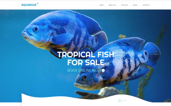 Fish Responsive Website Template — Template by Templatemonster