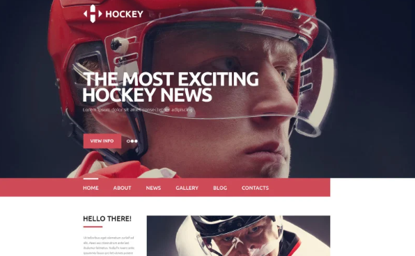 Hockey News Portal Website Template — Template by Templatemonster