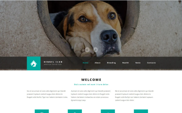 Kennel Club Website Template — Template by Templatemonster