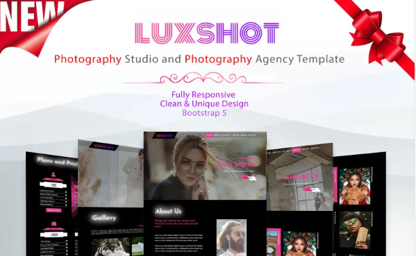 Luxshot – Photography Studio and Photography Agency Template — Template by Templatemonster