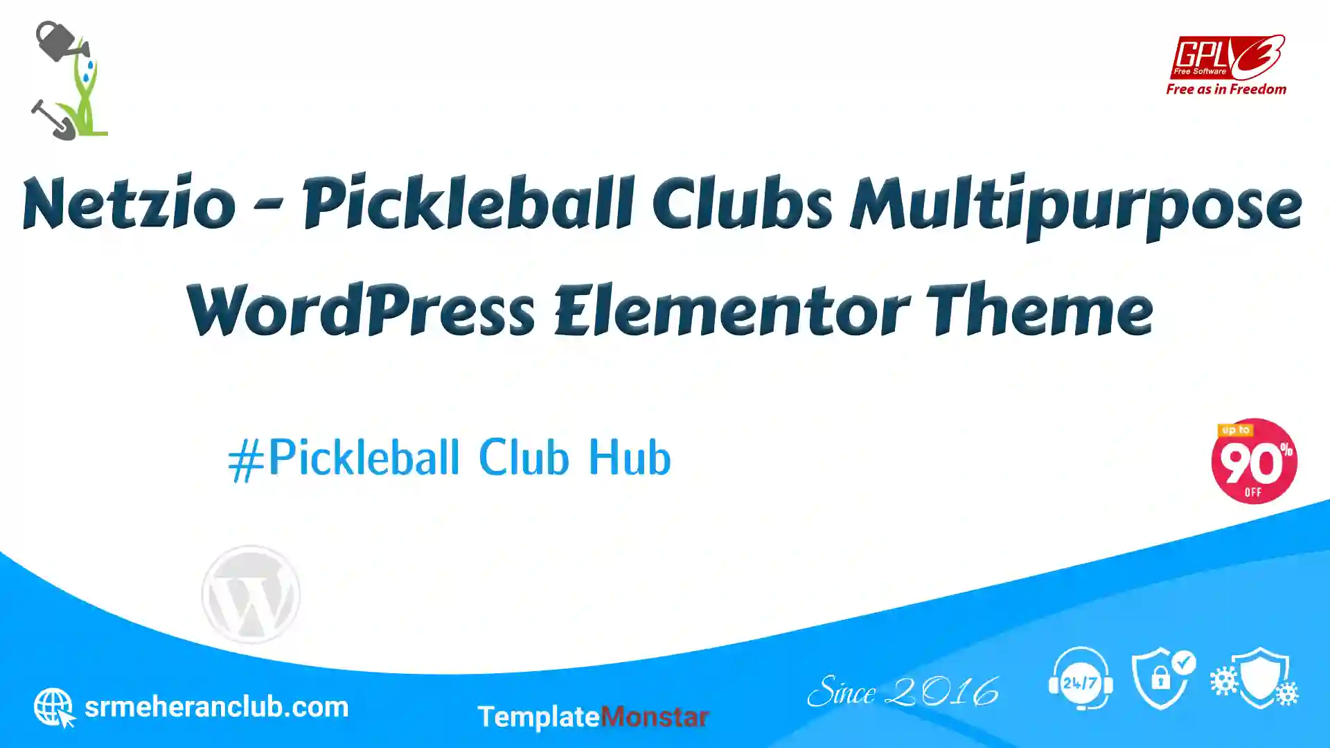 Netzio – Pickleball Clubs Multipurpose WordPress Elementor Theme — Theme by Templatemonster