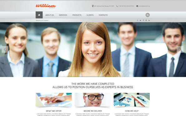 Online Business Image Website Template
