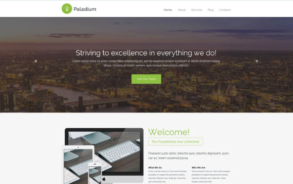 Paladium Website Template