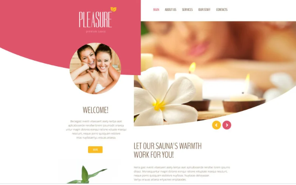 Pleasure Website Template