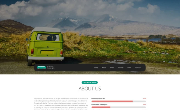 Pro Travel Website Website Template