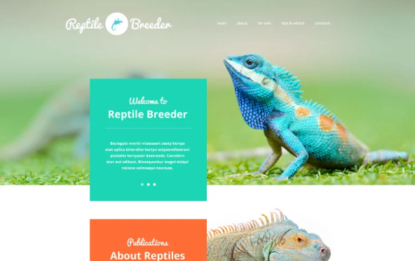 Reptile Breeder Website Template