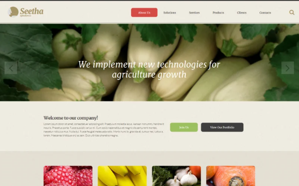 Seetha Website Template
