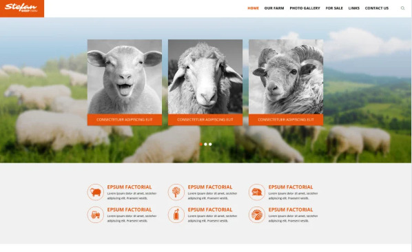 Sheep Farm Website Template
