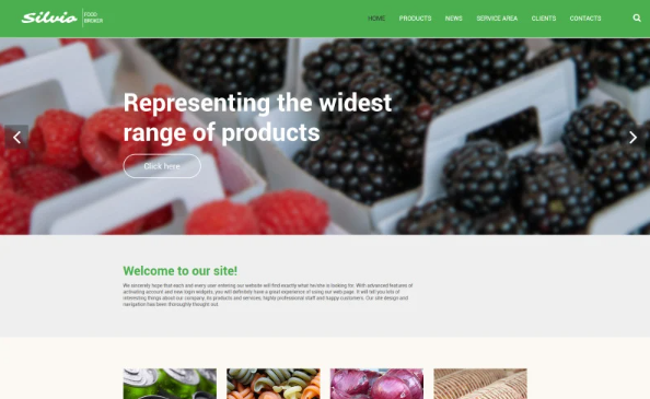 Silvio Website Template