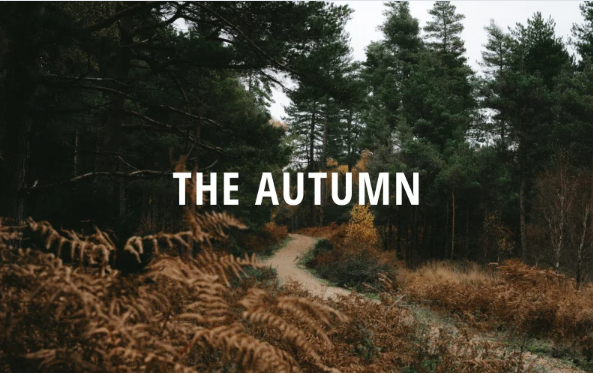 The Autumn – HTML – Portfolio | Responsive Website Template — Template by Templatemonster