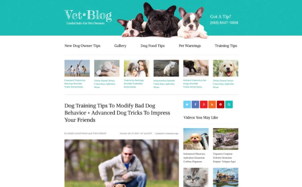 Veterinarian Blog Website Template